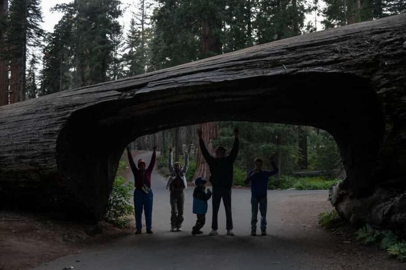 Private Day Tour to Sequoia and Kings Canyon Parks From LA - Authentic Feedback from Travelers