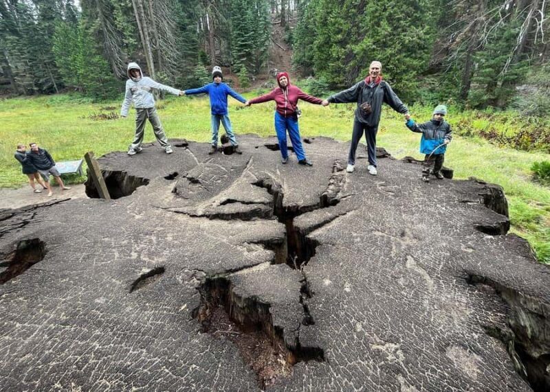 Private Day Tour to Sequoia and Kings Canyon Parks From LA - Final Thoughts: Is This Tour Worth It?