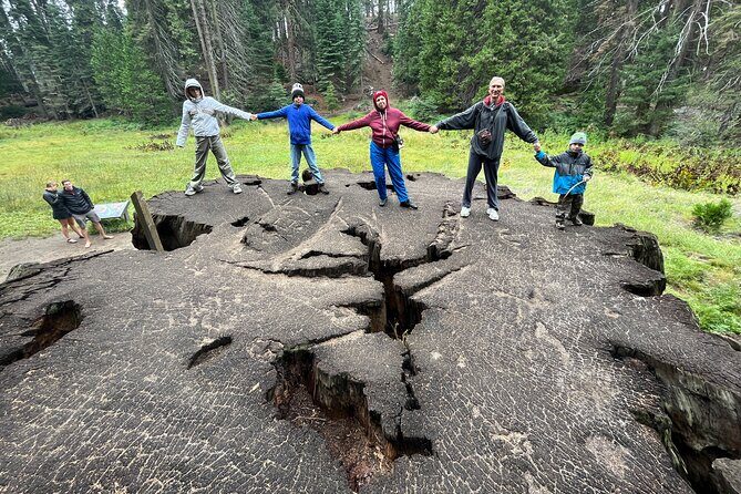 Private Day Tour to Sequoia and Kings Canyon Parks From LA - Key Points