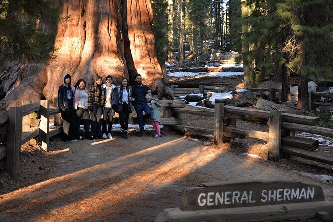 Private Day Tour to Sequoia and Kings Canyon Parks From LA - Final Thoughts: Is This Tour Right for You?