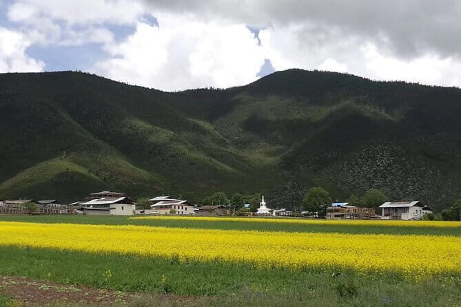 Private Day Tour to Shangri-la from Lijiang by Car - What the Tour Includes and Practical Details