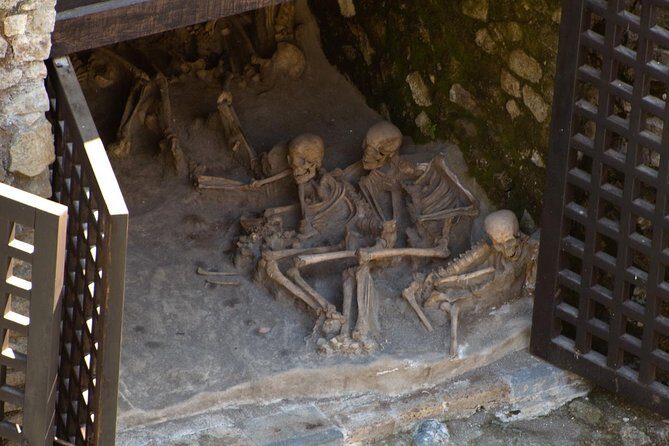 Private Day Tour to Vesuvius, Herculaneum & Pompeii with Pick Up - Why This Tour Is A Great Choice for History and Nature Lovers