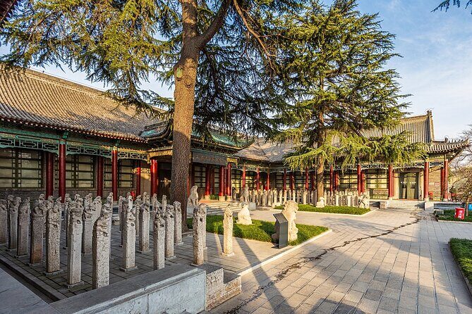 Private day tour to Xi 'an Highlights Museum - Key Points