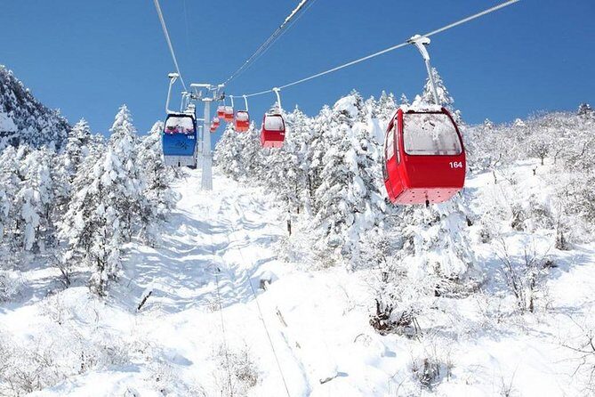 Private Day Tour to Xiling Snow Mountain - Practical Tips for Making the Most of Your Day