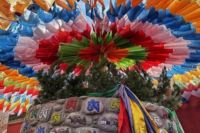 Private Day Tour: Xi'an PandaQI ZAIand City Highlights - Final Thoughts