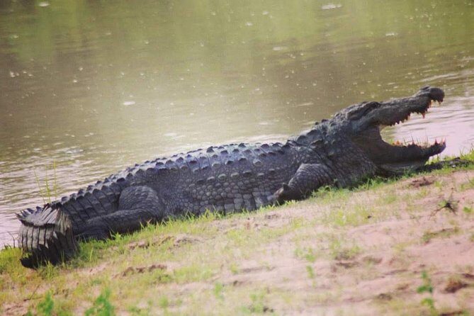 Private Day Tour: Yala National Park Safari Tour from Galle & Weligama - FAQ