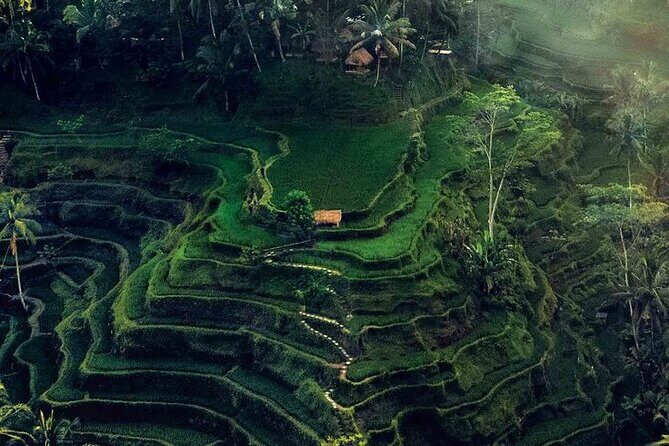 Private Day Trip Bali Rafting, Monkey Forest and Waterfall - Final Thoughts: Is It Worth It?