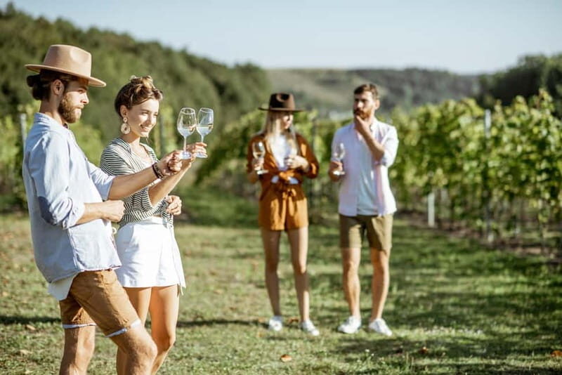 Private day trip: Basel to Alsace Wine Region, local driver - Who Should Consider This Tour?