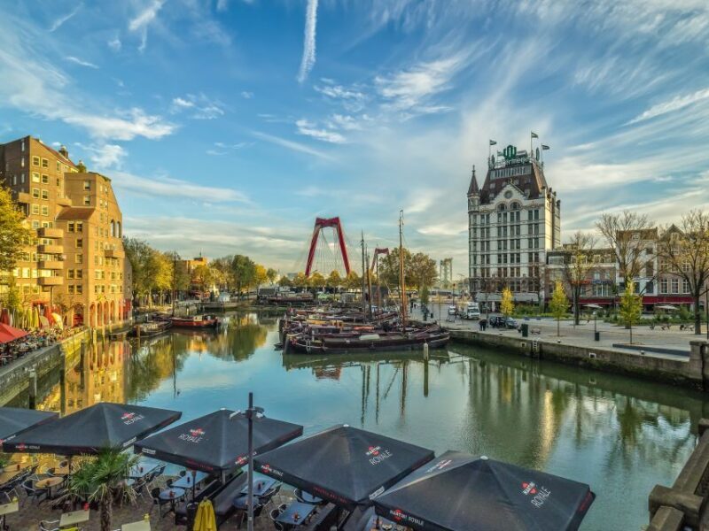 Private Day Trip from Amsterdam to Rotterdam and the Hague - The value of a private guided experience