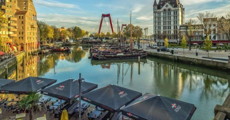 Private Day Trip from Amsterdam to Rotterdam and the Hague - Who should consider this tour?