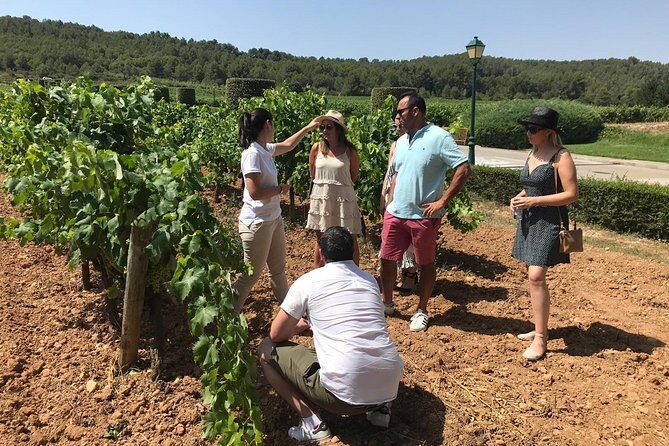 Private Day Trip from Barcelona to Montserrat - FAQ