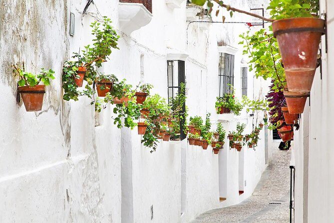 *Private Day Trip* from Cádiz: The White Towns of Andalusia - An In-Depth Look at the White Towns of Andalucia Private Tour