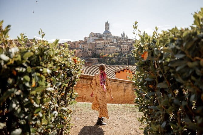 Private day trip from Florence to Pisa, San Gimignano and Siena - A Detailed Look at the Tour