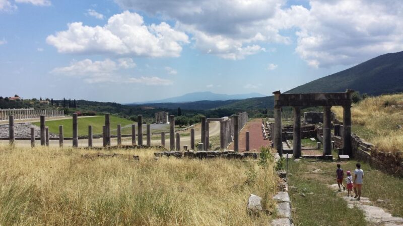 Private day trip from Kalamata to Ancient Messene - What Makes This Tour Stand Out