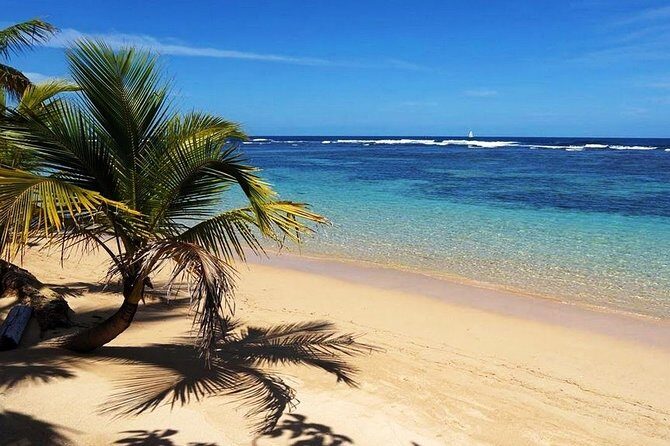 Private Day Trip from San Jose to Cahuita National Park (Caribbean Coast) - Exploring Costa Rica’s Caribbean Coast in a Day: Cahuita National Park Private Tour