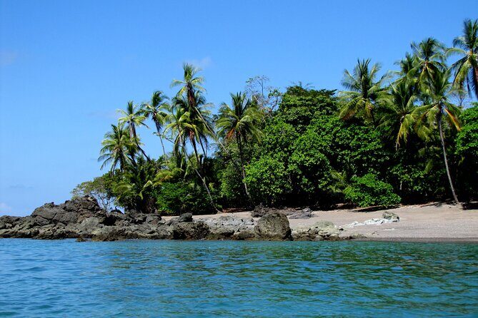 Private Day Trip from San Jose to Cahuita National Park (Caribbean Coast) - Who Should Book This Tour?