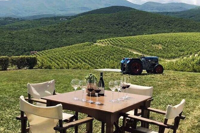 Private Day Trip from Thessaloniki to Vergina, Naousa, and Edessa - Who Should Consider This Tour?