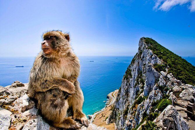 *Private Day Trip* Gibraltar and Bolonia from Jerez - Exploring the Details of Your Gibraltar and Bolonia Day Trip