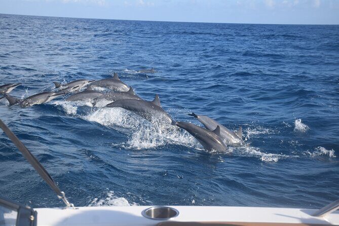 Private Day Trip Hike and Boat in Moorea - Frequently Asked Questions