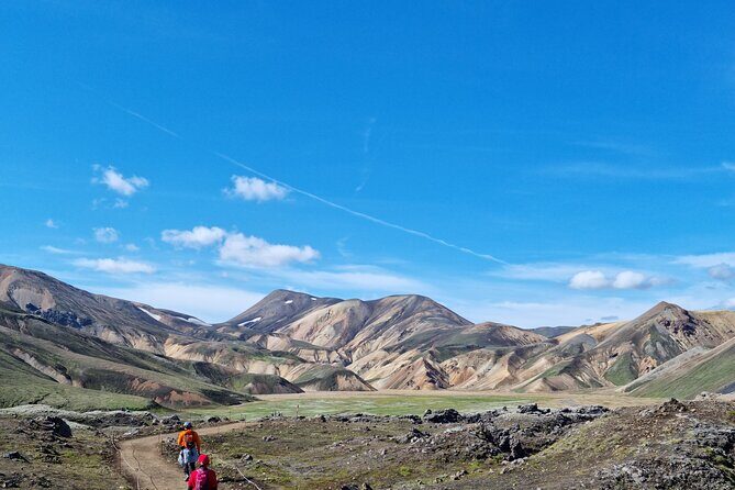 Private Day Trip in Landmannalaugar South Region area on a 4x4 truck - Who Will Love This Tour?