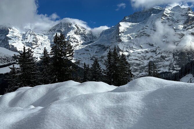Private Day Trip in the Heart of the ALPS - Jungfrau Region - Key Points