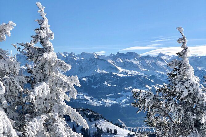 Private Day Trip in the Heart of the ALPS - Jungfrau Region - FAQ