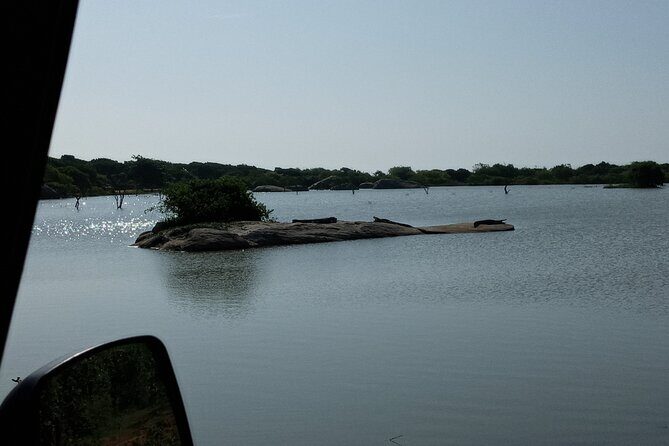 Private Day trip Kandy & pinnawala with your selected attractions - Authentic Experiences and Real Reviews