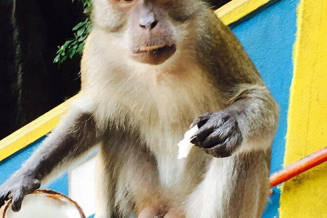 Private Day Trip of Kuala Lumpur and Malacca from Singapore - FAQ