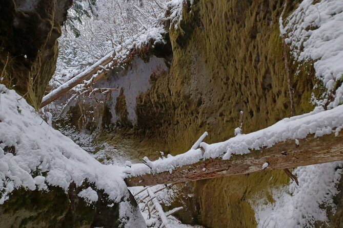 Private Day Trip of Lake Shikotsu and Moss Canyon - Final Thoughts