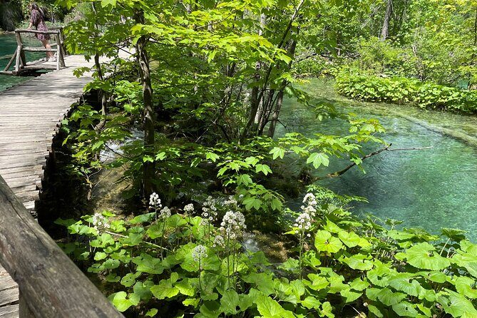 Private Day Trip: Stunning Plitvice Lakes and Rastoke from Zagreb - Exploring the Croatia’s Natural Gems: A Review of the Private Day Trip to Plitvice Lakes and Rastoke