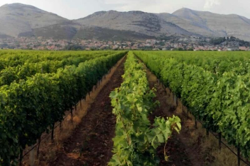 Private Day Trip to Bosnia: Wine, Culture & Local Lunch - Authentic Herzegovinian Lunch