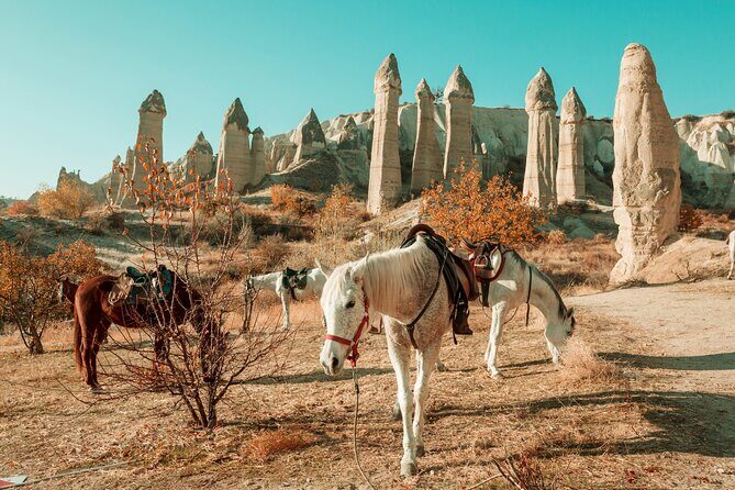 Private Day Trip to Cappadocia from Istanbul - A Deep Dive into this Cappadocia Day Trip