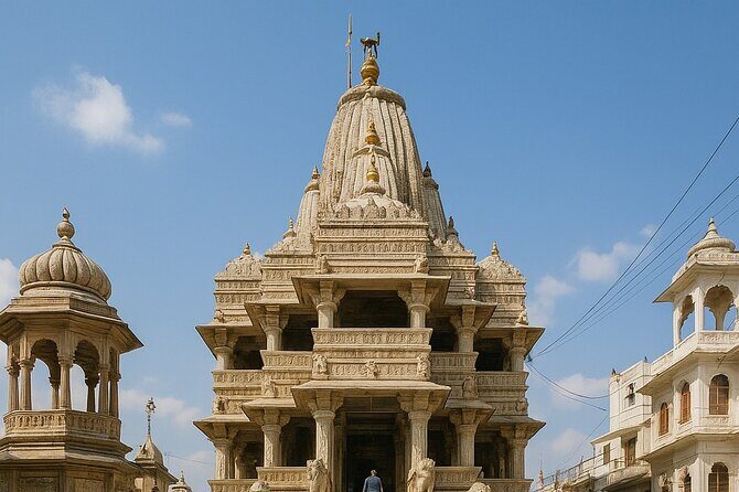 Private Day Trip to City Palace, Lake Pichola Temples in Udaipur - Discover Udaipur with a Private Day Trip to City Palace and Lakes