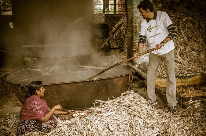 Private Day Trip to Gangaikonda Cholapuram with Guide and Lunch - Authentic Encounters and Reviewer Insights