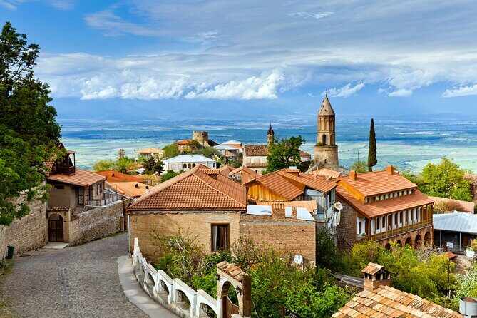 Private Day Trip to Kakheti Wine Region Including Wine Tasting - A Closer Look at the Private Kakheti Wine Region Tour