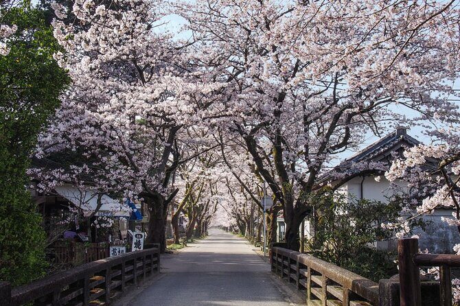 Private Day Trip to Kumamoto & Asakura from Fukuoka with Minibus - Key Points