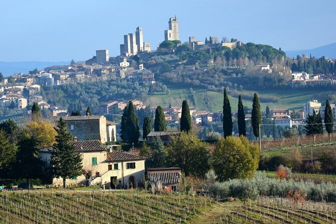 Private Day Trip to Montalcino and Montepulciano from Florence - Final Thoughts
