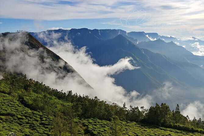 Private Day Trip to Munnar from Kochi (Cochin) - Key Points