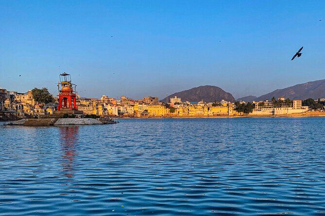 Private Day Trip to Pushkar From Jaipur - In-Depth Look at the Pushkar Day Trip