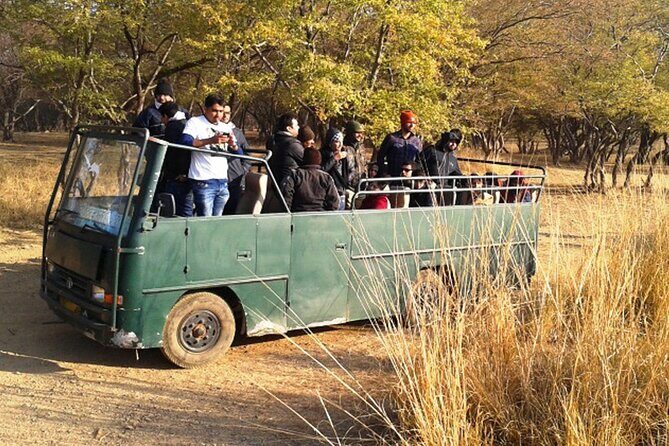 Private Day Trip to Ranthambore Tiger Reserve from Jaipur - Final Thoughts