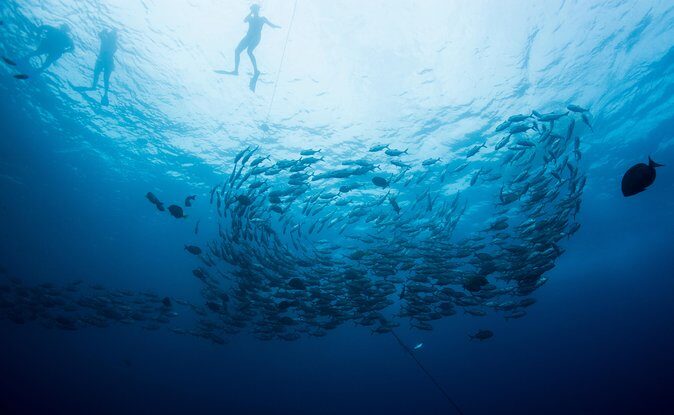 Private Day Trip to San José & Cabo San Lucas - Who Would Love This Tour?