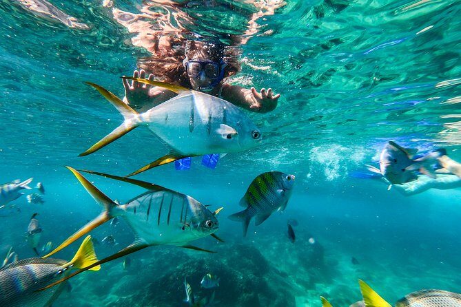 Private Day Trip to San José & Cabo San Lucas - FAQs