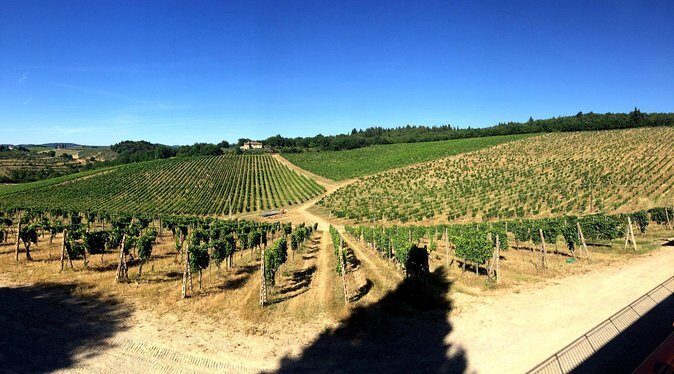 Private Day Trip to Siena and San Gimignano from Rome - Frequently Asked Questions