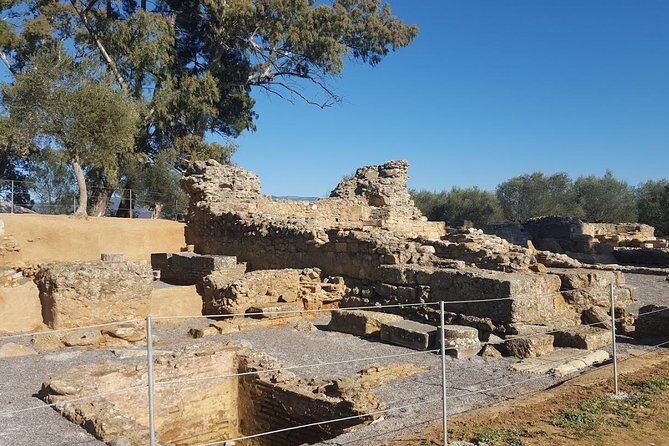 Private Day Trip to Sparta from Kalamata (Price per Group) - FAQ: Your Practical Questions Answered