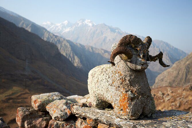 Private day trip to the Caucasus mountains and the Russian border - FAQ