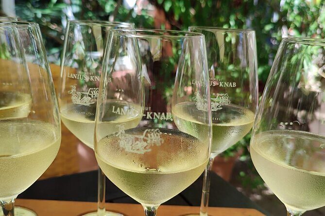 Private day trip to the Romantic Rhine Valley with river cruise and wine tasting - Who Should Take This Tour?