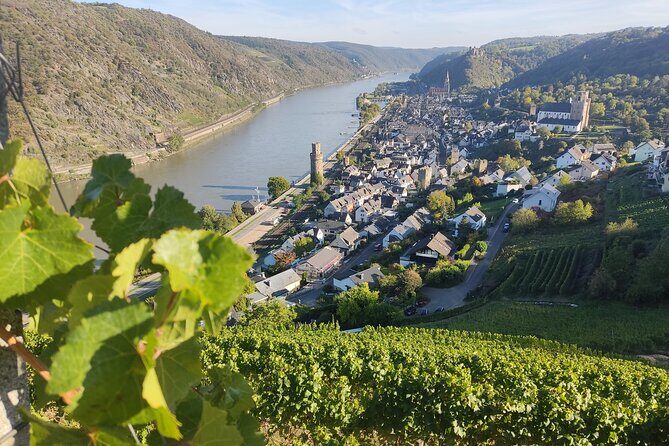 Private day trip to the Romantic Rhine Valley with river cruise and wine tasting - Final Thoughts