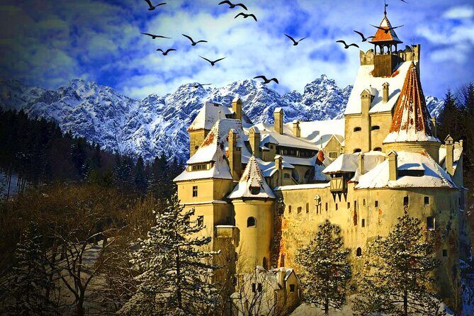 Private Day Trip to Transylvania: Dracula Castle, Royal Palace, Brasov Old Town - Key Points