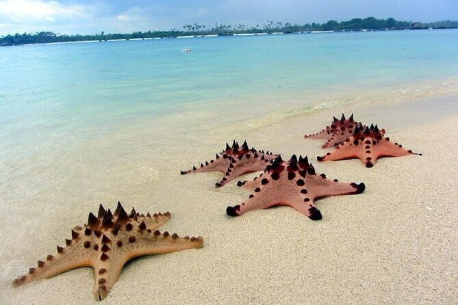 Private Day Trip Tour To Secret Gilis - Exploring Lombok’s Secret Islands: An In-Depth Review