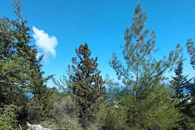 Private Day Walk in the Nature Near Kyrenia, Cyprus - What Sets This Tour Apart?